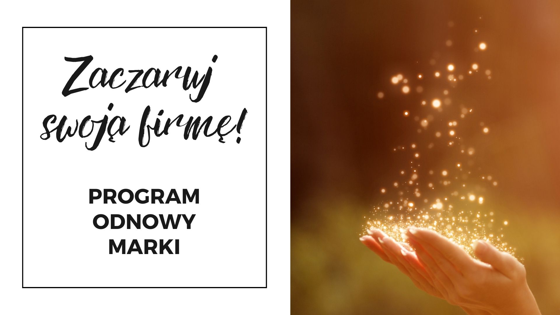 Program Zaczaruj swoją firmę!